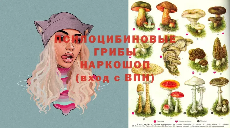 Галлюциногенные грибы Cubensis  Баксан 